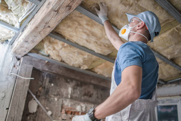 Insulation for Commercial Buildings in Boyce, LA