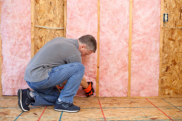 Best Crawl Space Insulation  in Boyce, LA