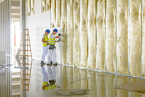 Best Insulation for New Construction  in Boyce, LA